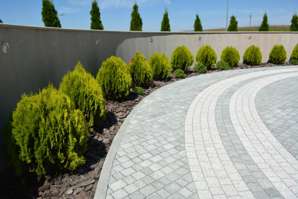 Best Affordable Driveway Pavers  in Trucksville, PA
